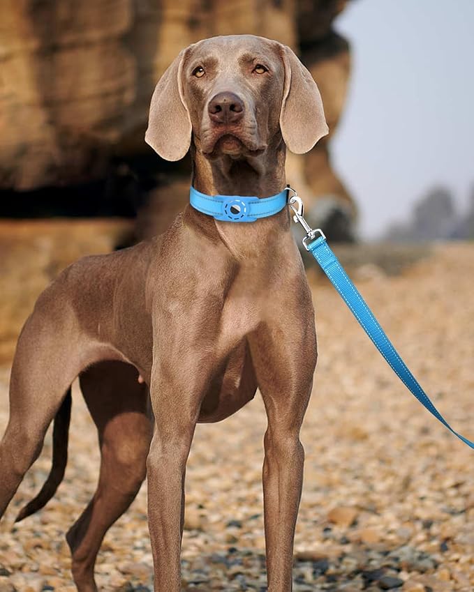 Reflective Dog Leash 4ft Soft Padded Handle Nylon Lead for Small & Medium Dogs, Durable Walking Training Leash for Night Safety (SkyBlue,1Inch Wide)
