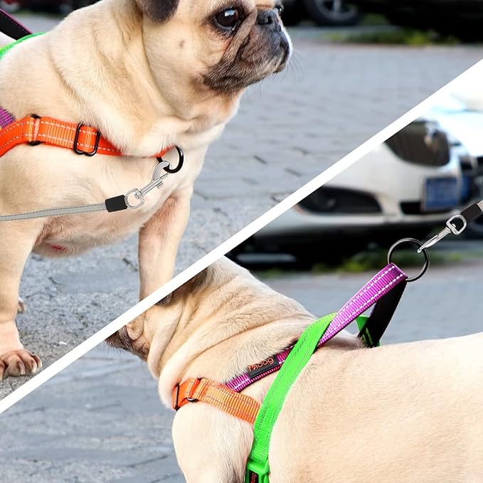 Didog No Pull Dog Harness with Soft Padded Handle, Quick Fit & Lightweight Adjustable Vest Harness, Easy for Training Walking for Small & Medium and Large Dogs(Green,M)