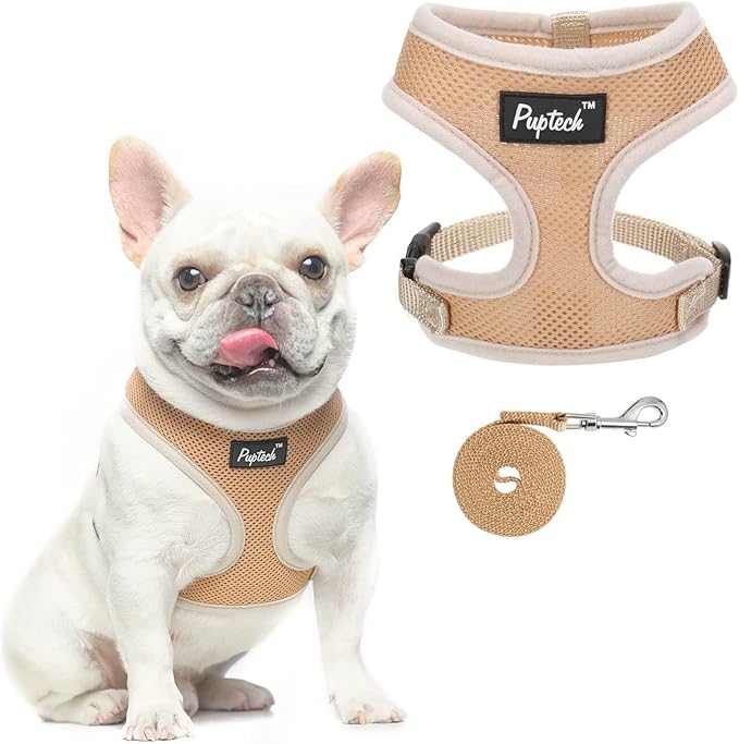 PUPTECK Soft Mesh Dog Harness and Leash Set Pet Puppy Cat Comfort Padded Vest No Pull Harnesses, Solid Beige, L