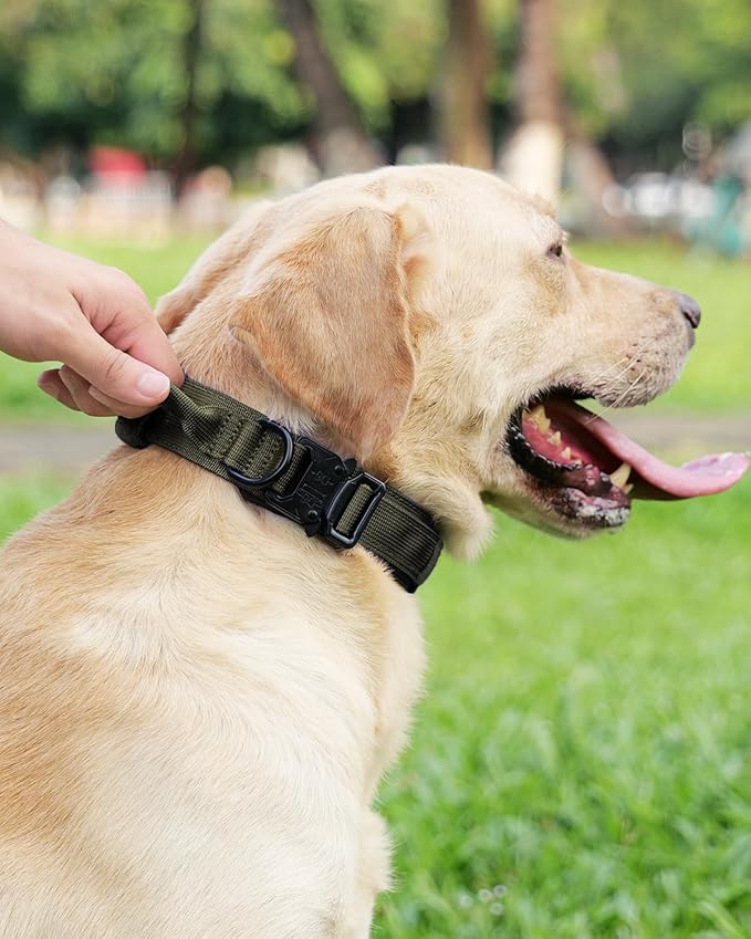 Joytale Tactical Dog Collar with Handle, Adjustable Heavy Duty Military Collar with 2 Patches for Training, Suitable for Medium Dogs, ArmyGreen, M