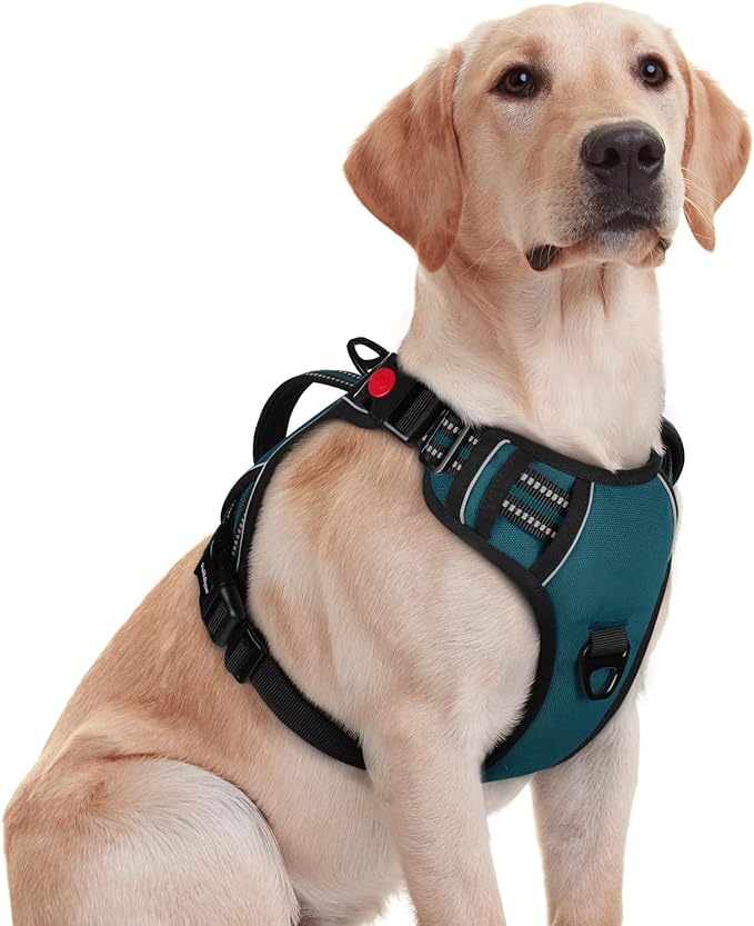 rabbitgoo Dog Harness for Large Dogs, No Pull Pet Harness with Soft Padded Handle, Adjustable Reflective Vest with 3 Buckles, Easy Walking Harness with 2 Leash Clips, Green, M