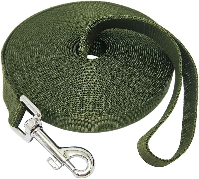 Nylon Training Dog Leash for Small Medium Large Dogs, 15ft 20ft 30ft 50ft Long Leash Dog/Puppy Lead for Obedience Recall Training, Camping (1" x 30ft, Green)