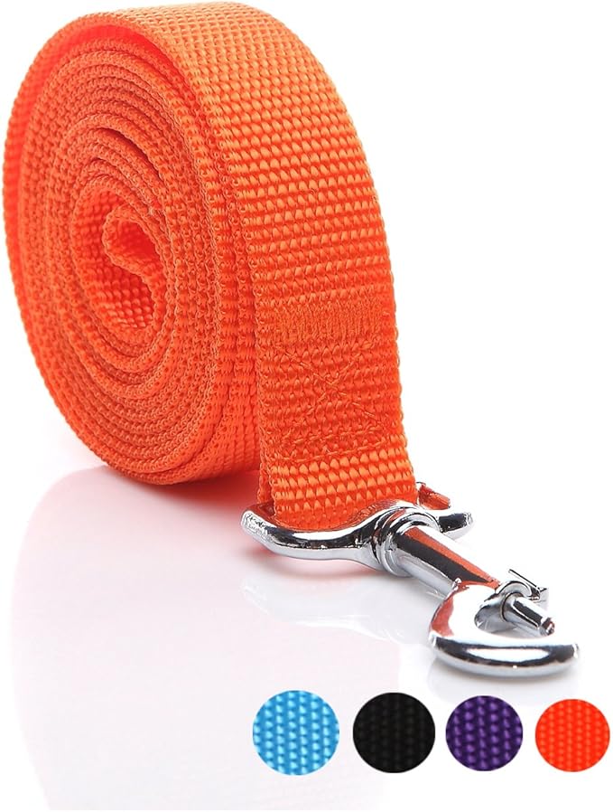 Nylon Dog Leash 12 Feet Long, Walking Training Dog Leashes for Medium Large Dogs(1" X 12 ft, Orange)