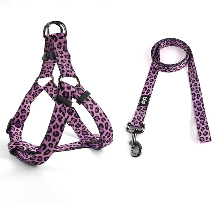 QQPETS Dog Harness Leash Set Adjustable Heavy Duty No Pull Halter Harnesses for Small Medium Large Breed Dogs Back Clip Anti-Twist Perfect for Walking
