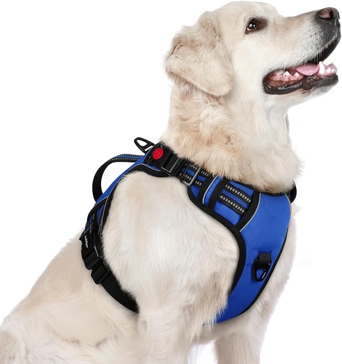rabbitgoo Dog Harness for Large Dogs, No Pull Pet Harness with Soft Padded Handle, Adjustable Reflective Vest with 3 Buckles, Easy Walking Harness with 2 Leash Clips, Blue, L