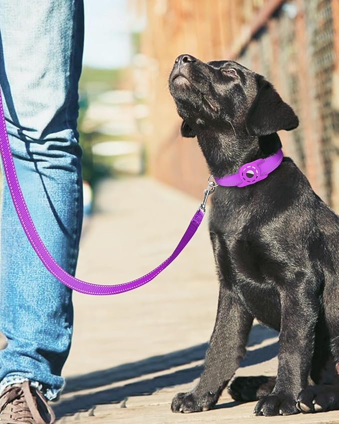Reflective Dog Leash 6ft Soft Padded Handle Nylon Lead for Small & Medium Dogs, Durable Walking Training Leash for Night Safety (Purple,3/4Inch Wide)