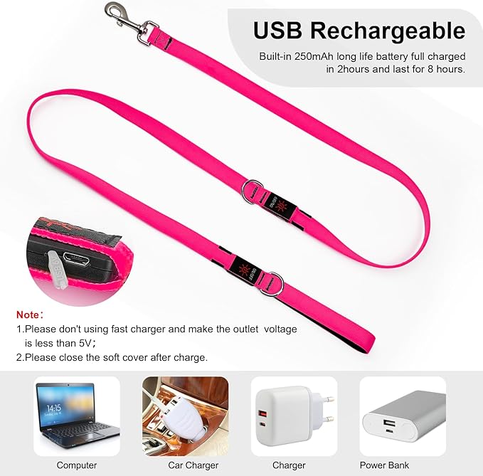 Colaseeme Light Up Dog Leash, LED Pet Leashes USB Rechargeable, Glow Safety Dogs Lights at Night (6FT,Pink)