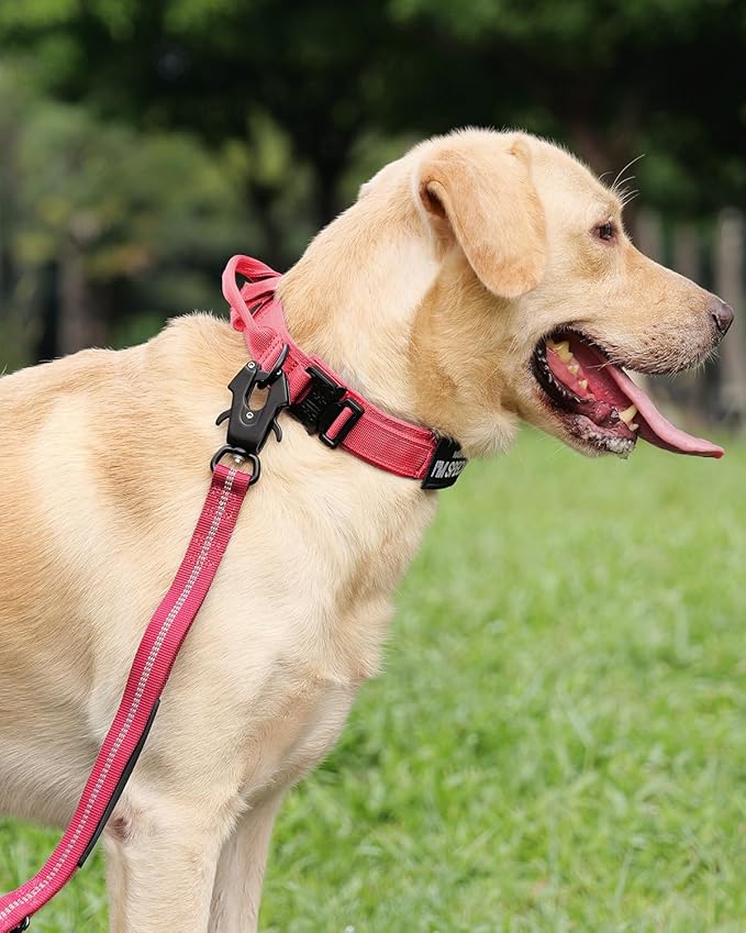 Joytale Tactical Dog Collar with Handle, Adjustable Heavy Duty Military Collar with 2 Patches for Training, Suitable for Medium Dogs, Hotpink, M