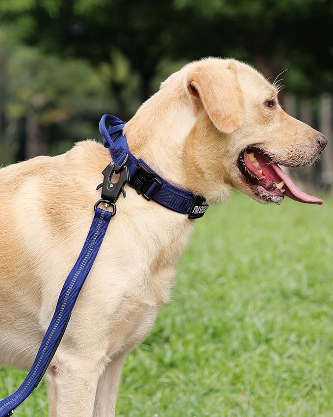 Joytale Tactical Dog Collar with Handle, Adjustable Heavy Duty Military Collar with 2 Patches for Training, Suitable for Medium Dogs, Navyblue, M