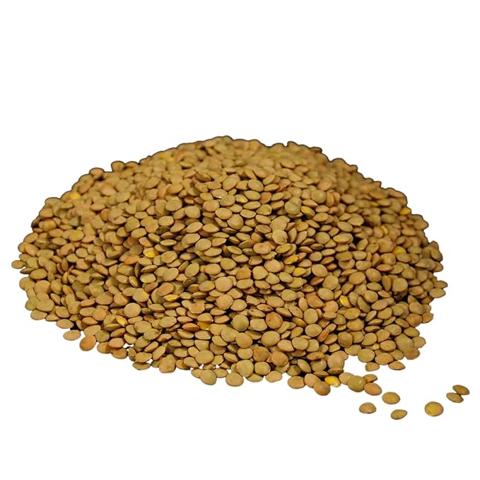 Wheatland??Lentils ??20lb ??Mylar, Oxygen Absorber and Bucket Provide 25 Year Shelf Life ??Lab Tested ISO 17025 Verified Chemical-Free ??Never Irradiated, No Desiccants and Non GMO ??High Trust Seller ??Emergency Food Storage??Wheatland 40 Year Legacy