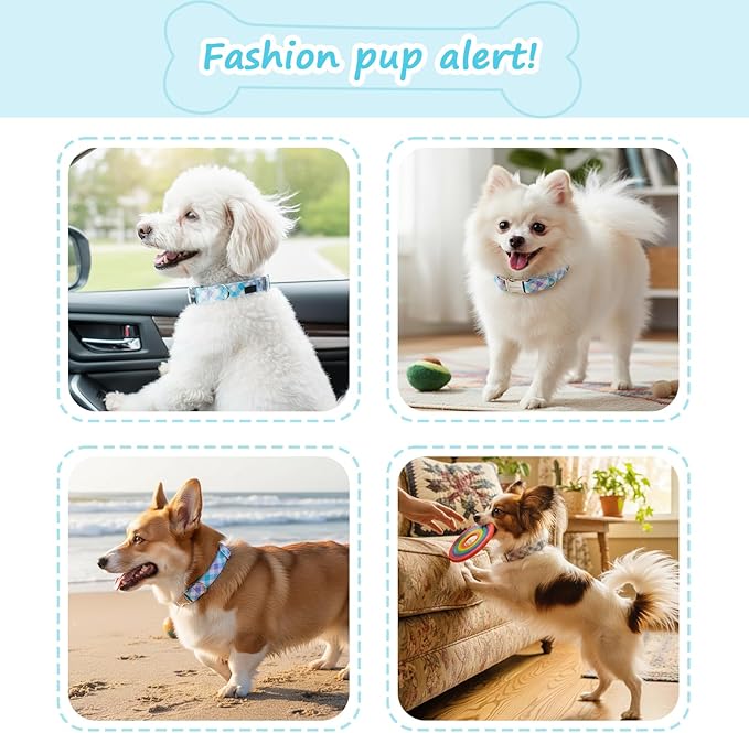 Cotton Collar for Dog竊똕oft Adjustable Dog Collars for Extral Small Dogs, Cute Dog Collar with Blue & White Plaid for Small Medium Large Dogs, Perfect for Girl or Boy Dog Collars-XS