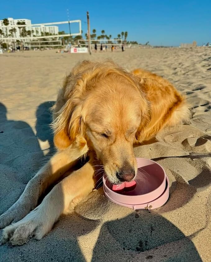Barkin??Trails Travel Dog Bowls, Portable Outdoor Water, BPA-Free Water Bowl Set, Food Grade Plastic Dog Travel Bowl, Dog Camping Essentials, Travel Container