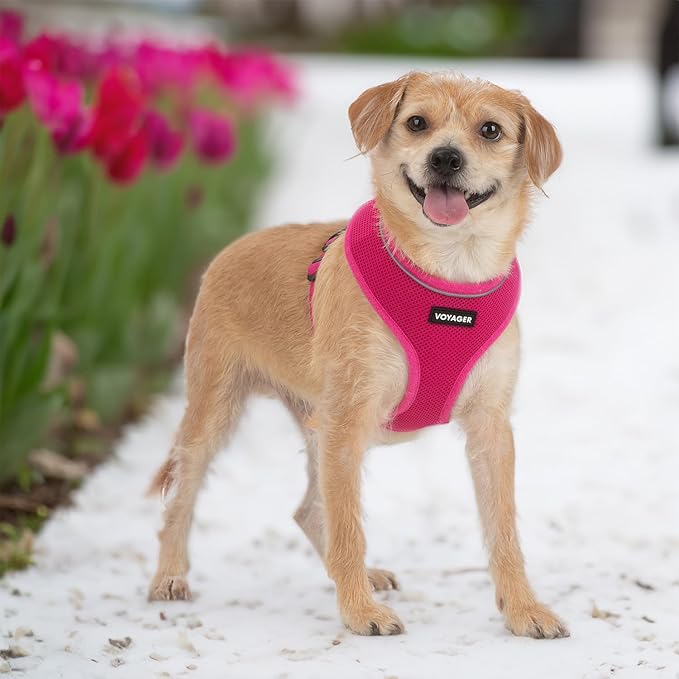 Voyager Aerolite Over The Head Dog Harness, No Pull Breathable Air Mesh Vest, Quick Dry with Reflective Stitching, Adjustable Escape Resistant Harness for Small Medium Large Dogs - Fuchsia, Medium