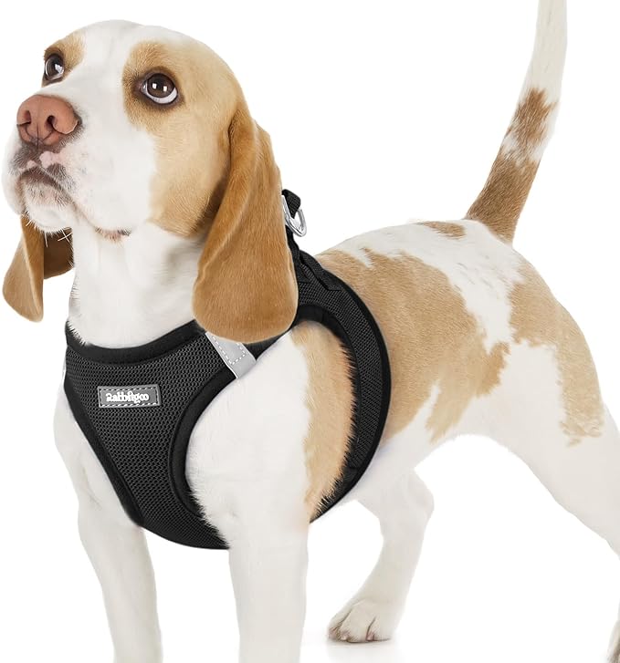 rabbitgoo Small Dog Harness, Step-in Soft Mesh Puppy Vest with Safety Buckle, Breathable Reflective Pet Harness for Small Sized Dogs, Black M