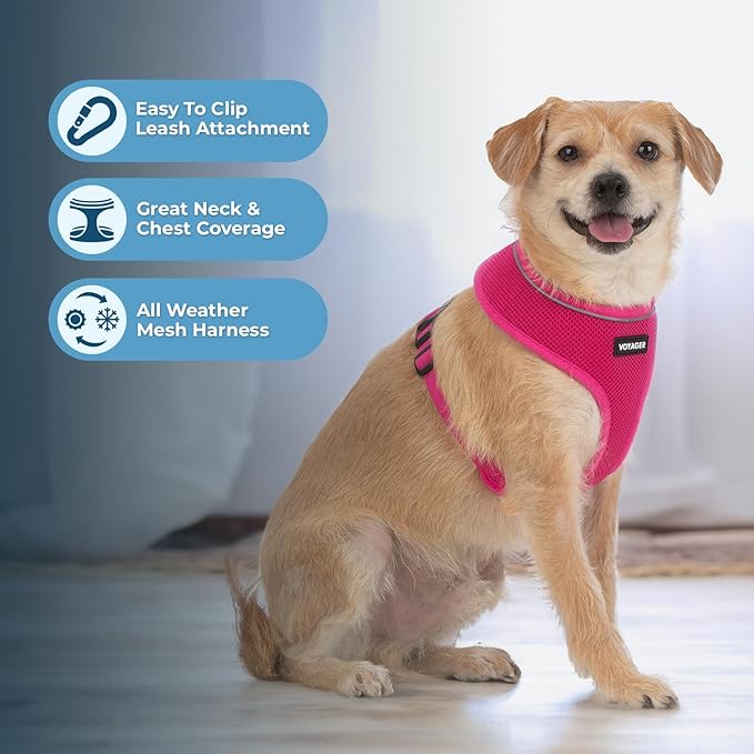 Voyager Aerolite Over The Head Dog Harness, No Pull Breathable Air Mesh Vest, Quick Dry with Reflective Stitching, Adjustable Escape Resistant Harness for Small Medium Large Dogs - Fuchsia, Medium