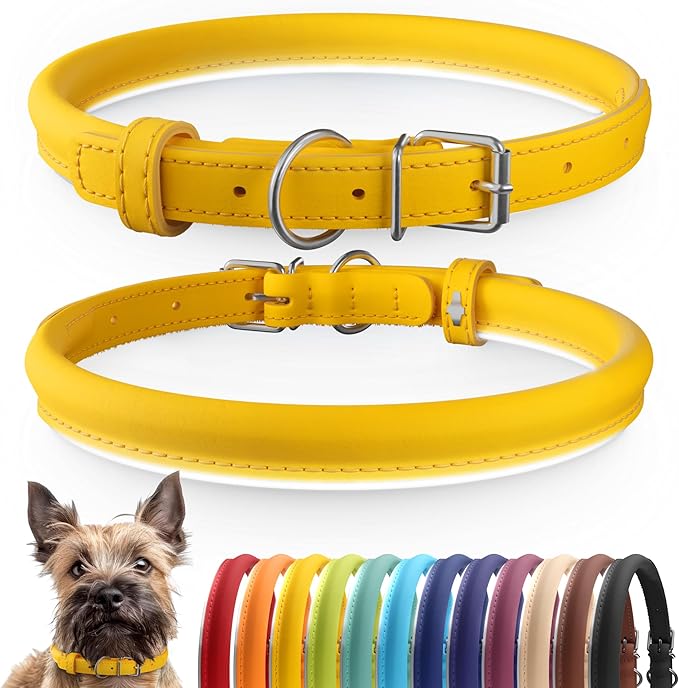 CollarDirect Rolled Leather Dog Collar, Soft Padded Round Puppy Collar, Handmade Genuine Leather Collar Dog Small Large Cat Collars 13 Colors (8-11 Inch, Yellow Smooth)