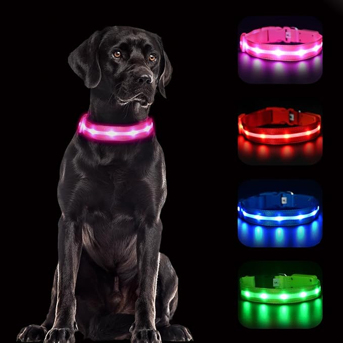 CHUKCHI LED Dog Collar Rechargeable,Waterproof Flashing Collar,Light Up Glow Collar, Adjustable Soft Safety Light Up for Small Medium Large Dogs Walking Camping at Night (Pink-M)