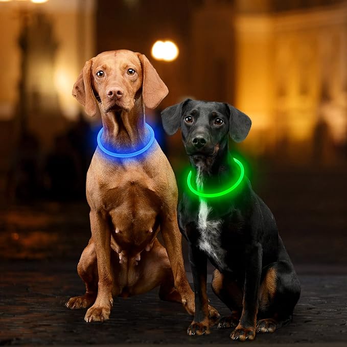 Light Up Dog Collar, Dlitk Rechargeable Cuttable LED Dog Collars, Pet Safety Light at Night Walking for Small Medium Large Dogs, Do Not Use Fast Charging (Green)