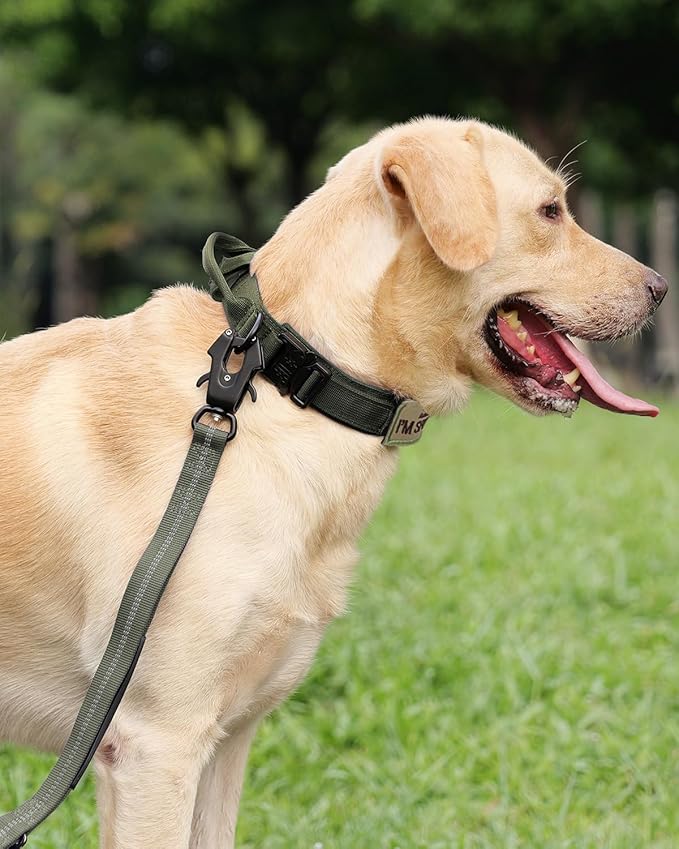 Joytale Tactical Dog Collar with Handle, Adjustable Heavy Duty Military Collar with 2 Patches for Training, Suitable for Medium Dogs, ArmyGreen, M