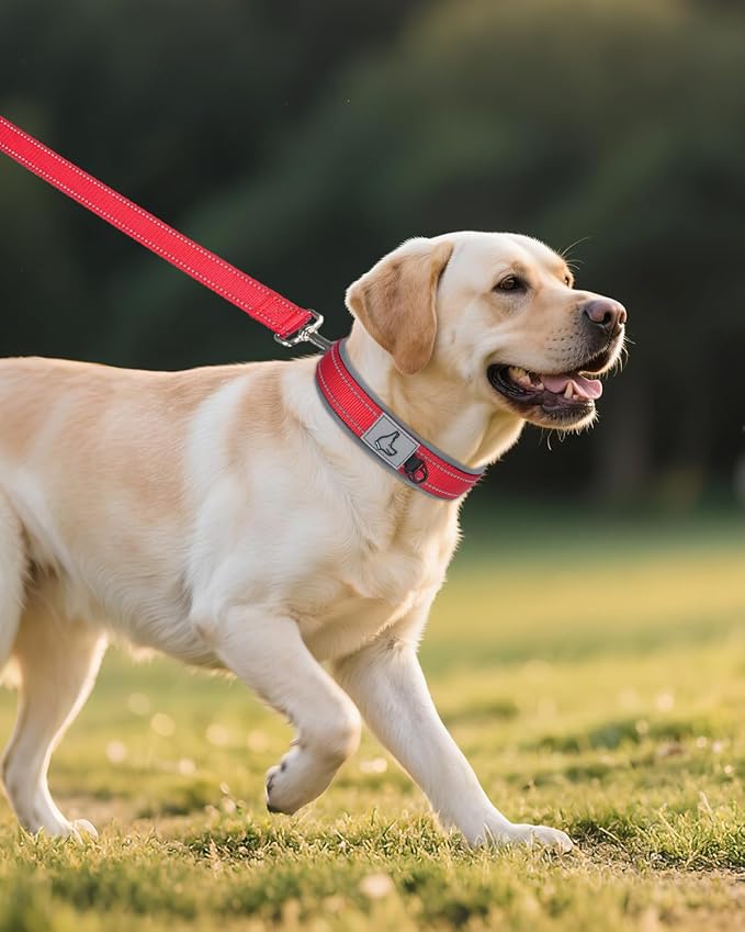 Joytale Dog Collar for Large Dogs, Neoprene Padded and Adjustable, Reflective Wide Heavy Duty Pet Collars with Durable Metal Belt Buckle for Walking, Red, L