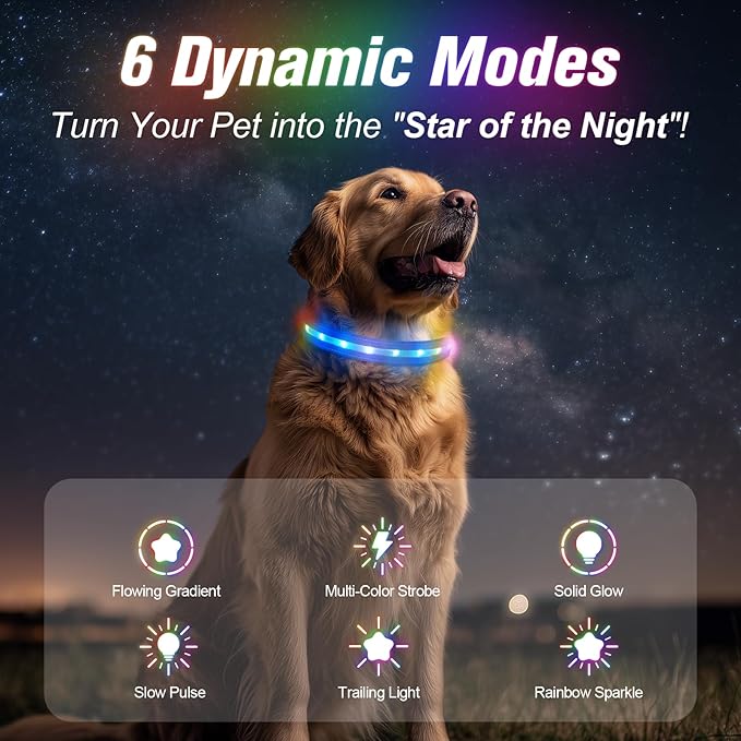 LED Dog Collar, Light Up Dog Collar, USB Rechargeable - Brightest Dog Lights for Night Walking, 6 Light Modes, Adjustable for Dog Safety(Large, Royal Blue)