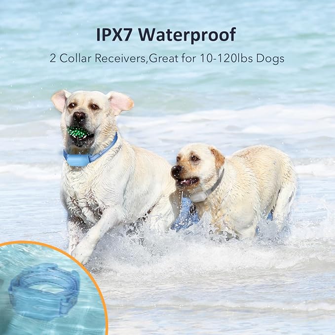 PATPET Shock Collar for Dogs(10-120lbs), 4000ft Rechargeable IPX7 Waterproof Training Collar with Remote for 2 Dogs- Electric Dog Collar for Small Medium Large Dogs 2 Packs