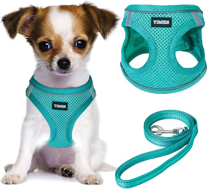 YIMEIS Dog Harness and Leash Set, No Pull Soft Mesh Pet Harness, Reflective Adjustable Puppy Vest for Small Medium Large Dogs, Cats (Turquoise, Medium (Pack of 1)
