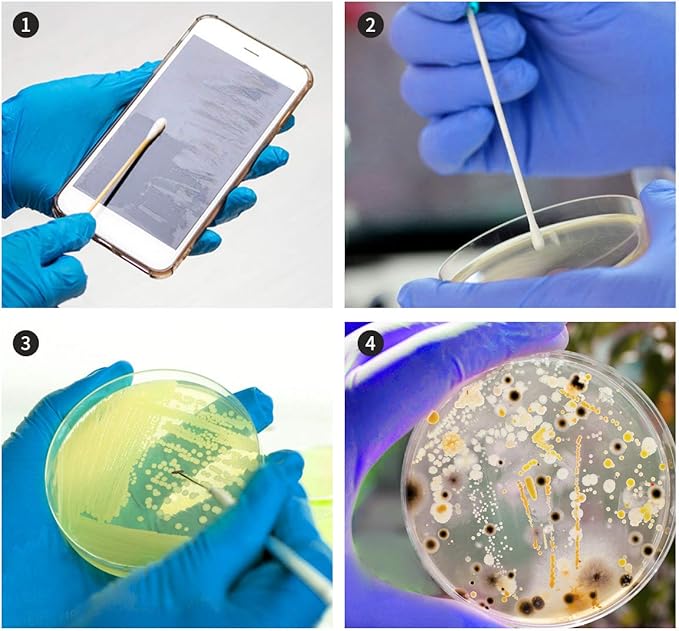 Bacteria Science Kit Petri Dishes with Agar and Swabs | Top Science Fair Project Bacteria Growing Kit | Prepoured LB-Agar Plates and Cotton Swabs | STEM for Kids Aged 6 7 8 9 10 Girls Boys Gifts