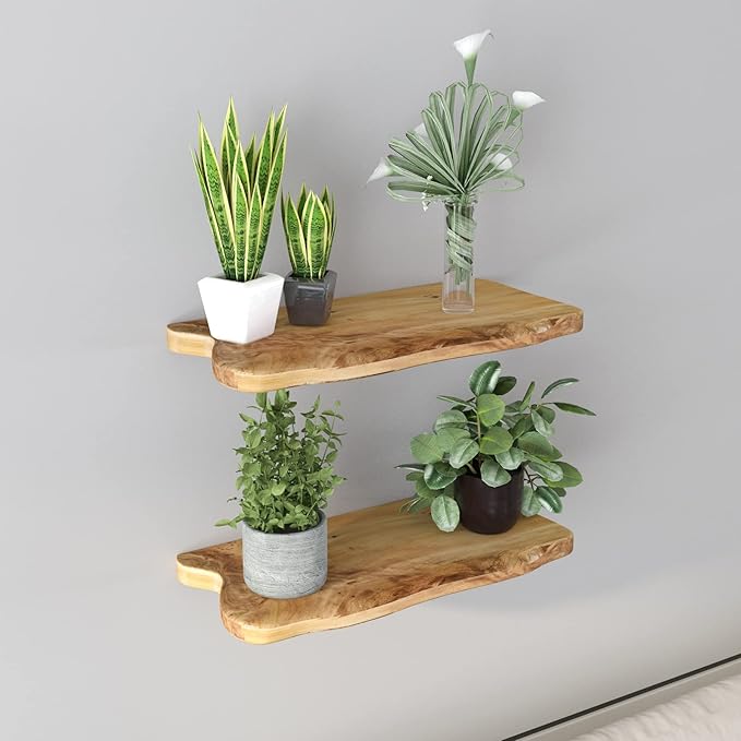 WELLAND 16” Cedar Natural Edge Floating Shelf Set of 2