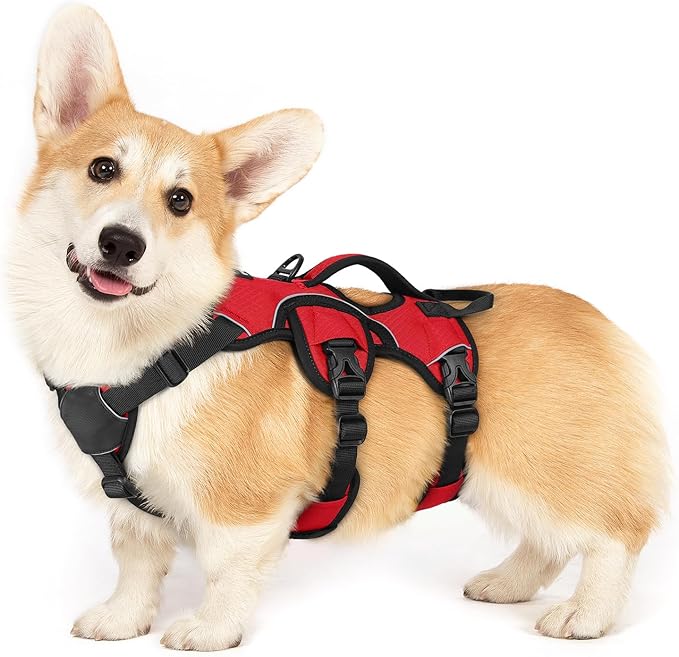 rabbitgoo Escape Proof Dog Harness, Soft Padded Full Body Pet Harness, Reflective Adjustable No Pull Vest with Lift Handle and Leash Clip for Large Dogs Walking Hiking Training, S, Red