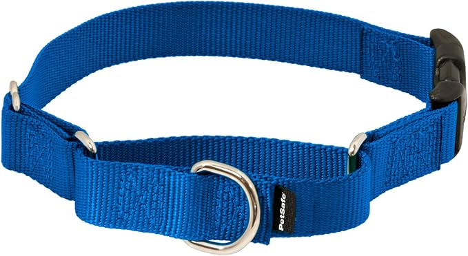 PetSafe Martingale Collar with Quick Snap Buckle - Humane Gentle Correction for Safer Walks - Adjustable No-Slip Design - Durable Nylon Material - Medium - Royal Blue