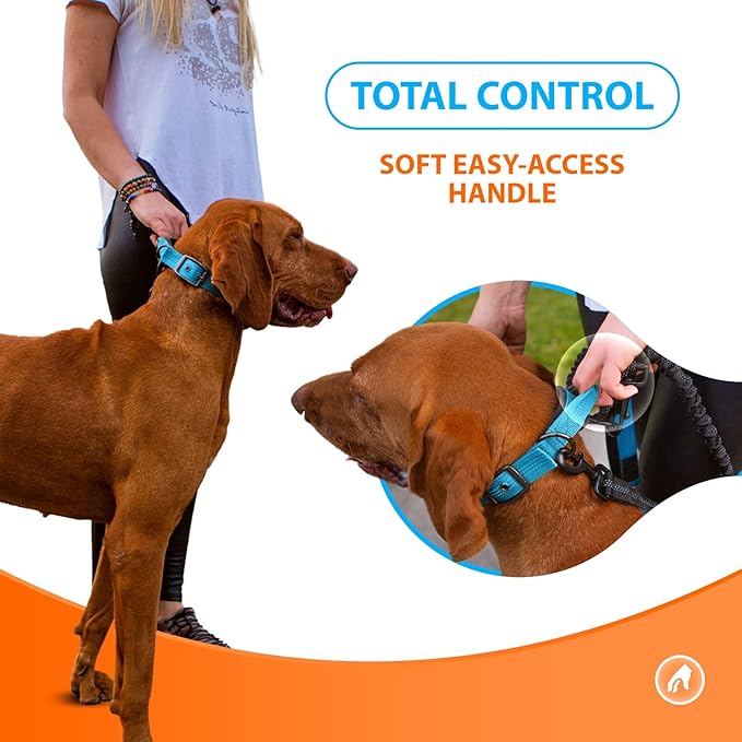 SparklyPets Heavy Duty Dog Collar with Handle for Medium and Large Dogs ??Professional Collar with Reflective Stitches, Soft Handle & Nickel-Plated Buckle (Medium (14,5"~18,5"), Blue)