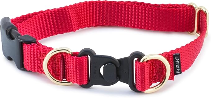 PetSafe KeepSafe Collar for Dogs - Protects Against Collar Accidents - Long Lasting - Durable - Adjustable - Breakaway - Outdoor-Safe - Medium - 3/4 In. Wide - Red