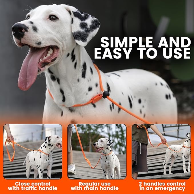 Howgo Dog Slip Lead Dog Leash, Training Lead, No-Pull Slip Leash and Collar, Heavy Duty & Durable Nylon, Padded Handle, for All Breeds (Orange, 3.6FT)