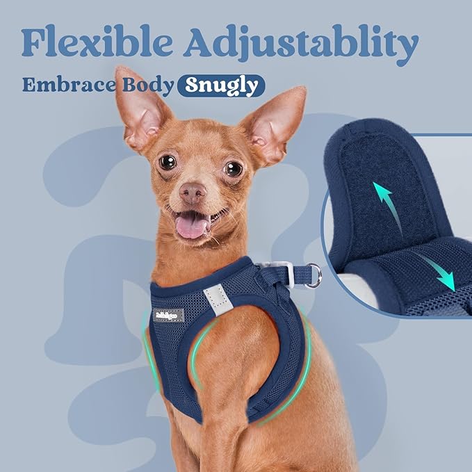 rabbitgoo Small Dog Harness, Step-in Soft Mesh Puppy Vest with Safety Buckle, Breathable Reflective Pet Harness for Extra Small Dogs, Navy Blue XXS