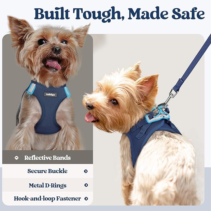 rabbitgoo Dog Harness Small Sized and Leash Set, Step in Soft Light Puppy Vest, Breathable Mesh Pet Harness, Reflective for Outdoor Safe Walking, Navy Blue XXXS