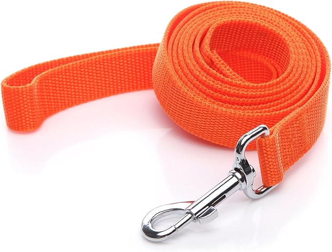 Nylon Dog Leash 8 Feet Long, Walking Training Dog Leashes for Medium Large Dogs(1" X 8 ft, Orange)