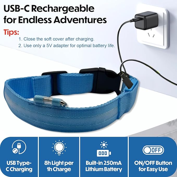 Light Up Dog Collar ??Reflective, Adjustable & Rechargeable Electronic Glow Pet Collars ??Bright, Comfortable, High Visibility LED Dog Collar for Night Safety, Outdoor Walk, Flashing Fun, Blue, Medium