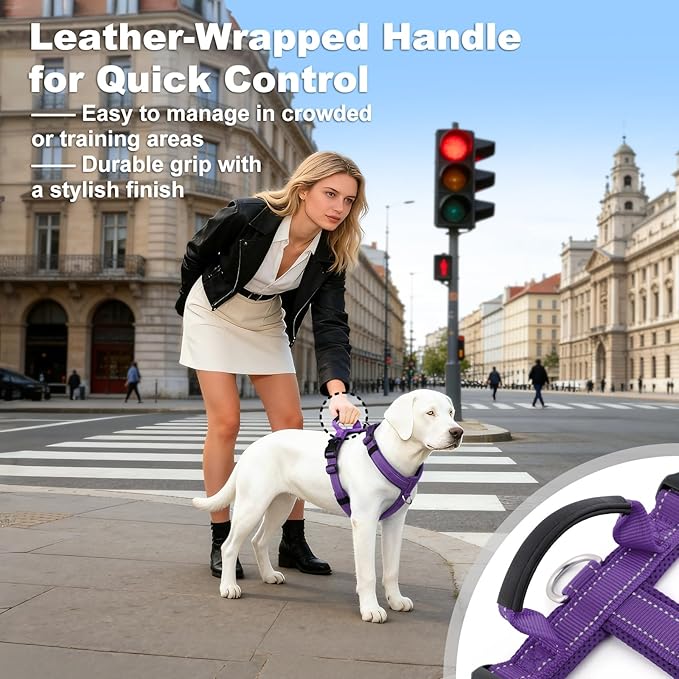 No Pull Dog Harness with Handle, Soft Mesh Padded Adjustable for Small Medium Large Dogs | Reflective Easy Walk Harness with Front Clip for Training, Running & Outdoor (Purple, XS)