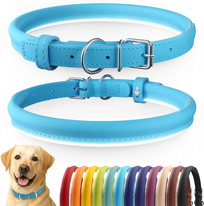 CollarDirect Rolled Leather Dog Collar, Soft Padded Round Puppy Collar, Handmade Genuine Leather Collar Dog Small Large Cat Collars 13 Colors (15-19 Inch, Light Blue)