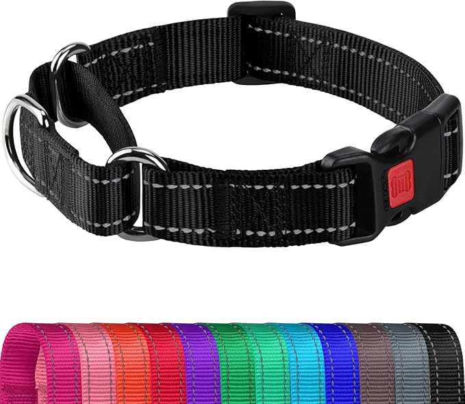 Joytale Martingale Collar for Dogs, Reflective Heavy Duty for Safety, Quick Release Buckle, Adjustable Nylon Collars for Large Dogs Walking Training, Black,L