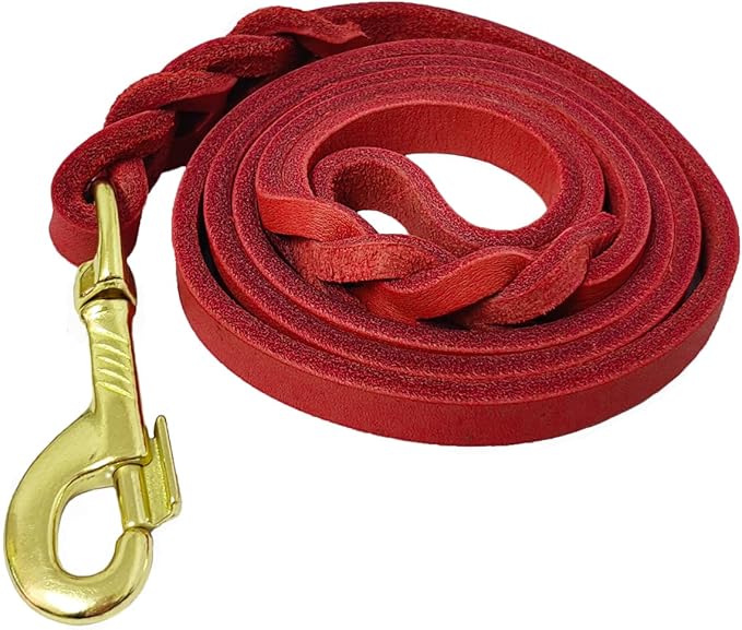 LWBMG Leather Dog Leash - 4ft x 1/2 inch, Braided, Comfortable Training Leash for Small & Medium Dogs - Red