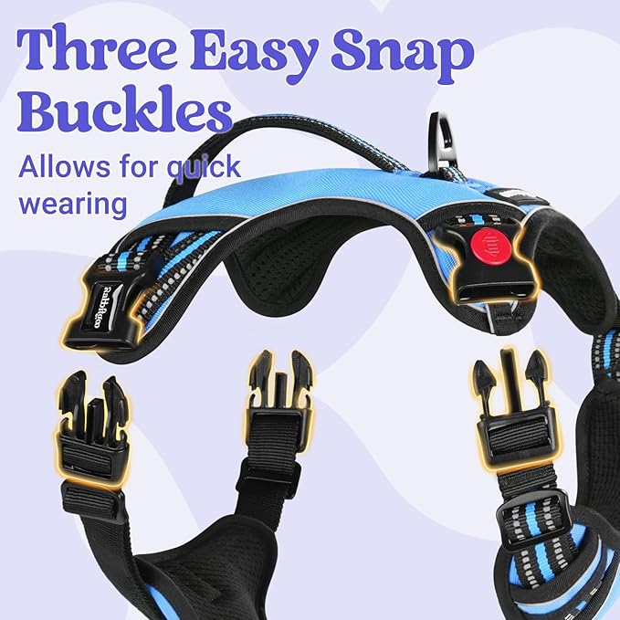 rabbitgoo Dog Harness Small Sized Dog, No Pull Pet Harness with Soft Padded Handle, Adjustable Reflective Vest with 3 Buckles, Easy Walking Harness with 2 Leash Clips, Light Blue, S