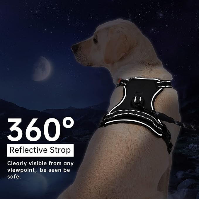 No Pull Dog Harness, Reflective Comfortable Vest Harness with Easy Control Handle Adjustable Soft Padded Pet Vest for Small to X-Large Dogs (Sky Blue, Small (Approx Weight:8.81-16.53 LB))