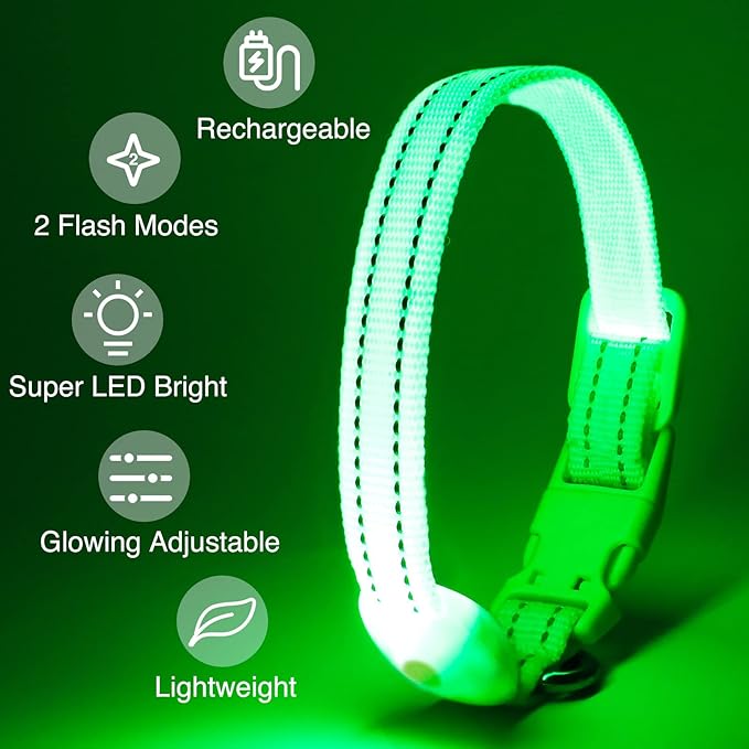 LED Dog Collar - Light Up, Adjustable, Rechargeable, Waterproof, Glow in Dark for Small Pets (S, Green)