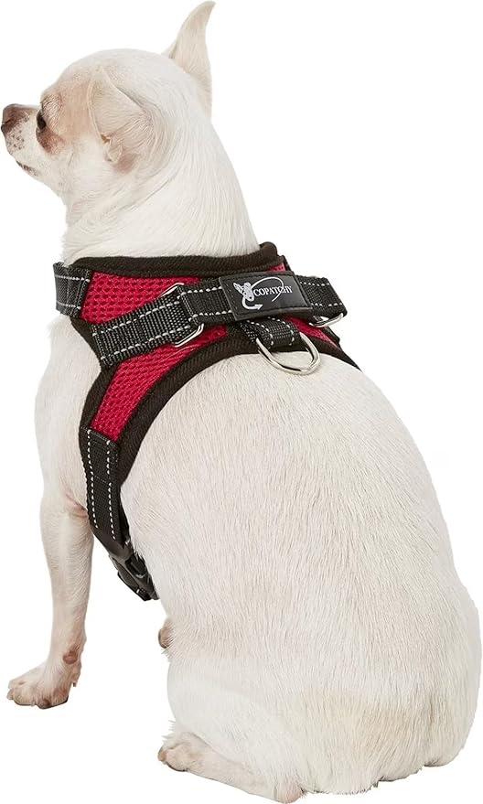 No Pull Reflective Adjustable Dog Harness With Handle- Comfortable Soft All Weather Mesh, Easy On Puppy Harness For Small Medium and Large Dogs (Red) X-Small