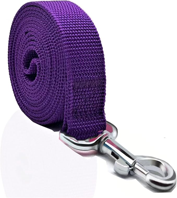 Nylon Dog Leash 8 Feet Long, Walking Training Dog Leashes for Medium Large Dogs(1" X 8 ft, Purple)