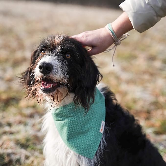 Pettsie Dog Bandana Collar with Matching Friendship Bracelet – Adjustable, Durable Hemp & Soft Cotton, Stylish & Comfortable Pet Bandana, Designed for Dog Lovers, Small, Green
