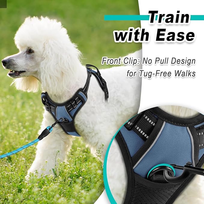 BARKBAY Dog Harness No Pull for Small Dogs - Adjustable, Reflective, Comfortable, No Choke, Heavy-Duty - Perfect for Outdoor Training, Walking, and Hiking - Strong & Durable - XS & Navy