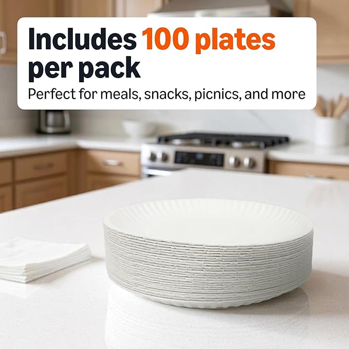Amazon Basics 9" Uncoated White Paper Plates 100 Count (Pack of 1)